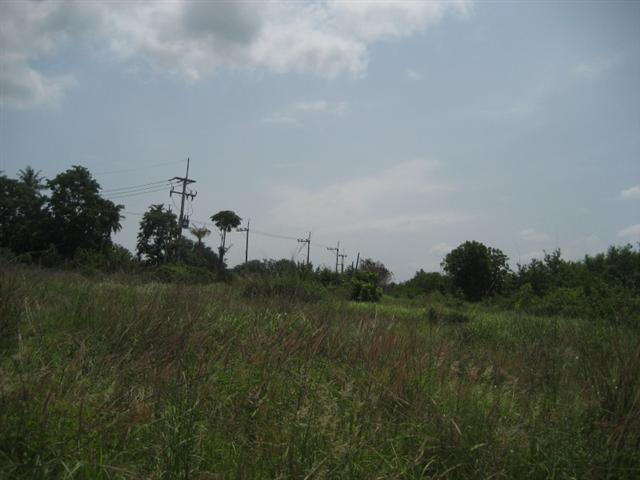 Phoenix Golf Course br sqm 1