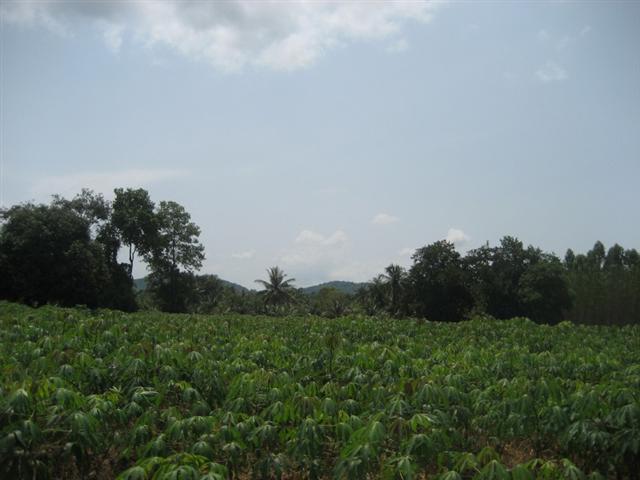 Phoenix Golf Course br sqm 3