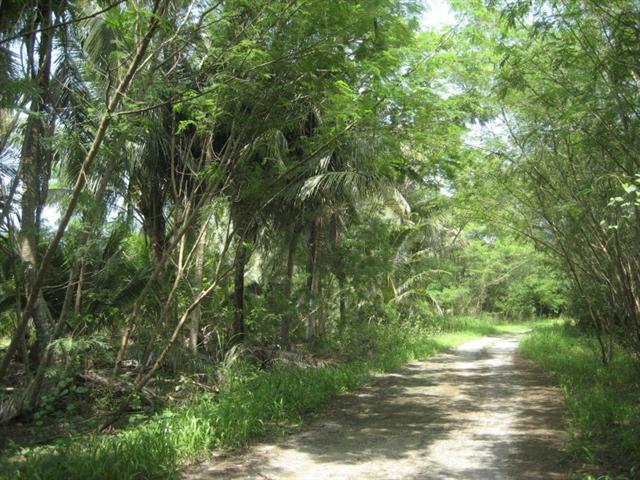 Phoenix Golf Course br sqm 10