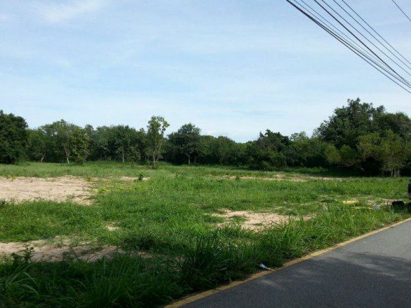 Без комплекса br sqm 1