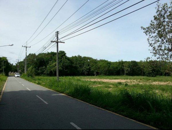 Без комплекса br sqm 2