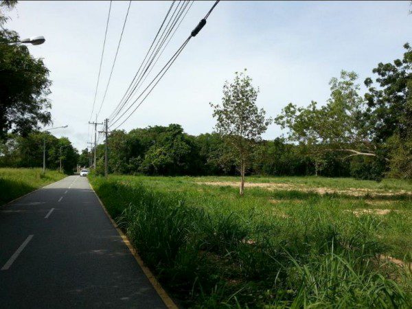 Без комплекса br sqm 3