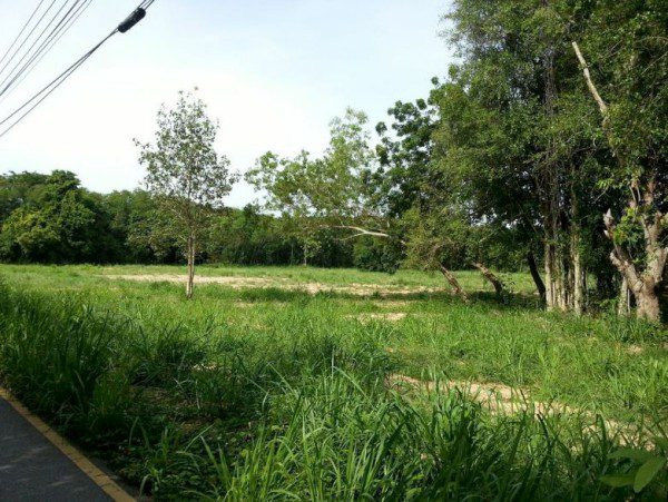 BAL18194_5 Без комплекса br sqm 6