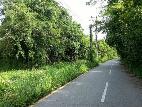 BAL18194_6 Без комплекса br sqm 7