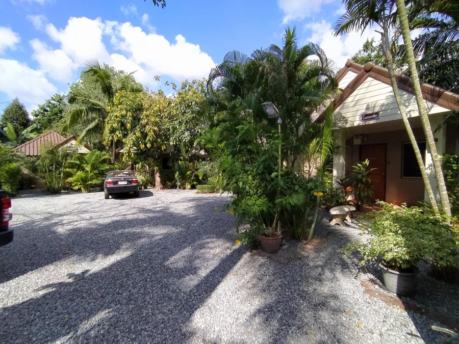 BAL23073_6 Без комплекса br sqm 7