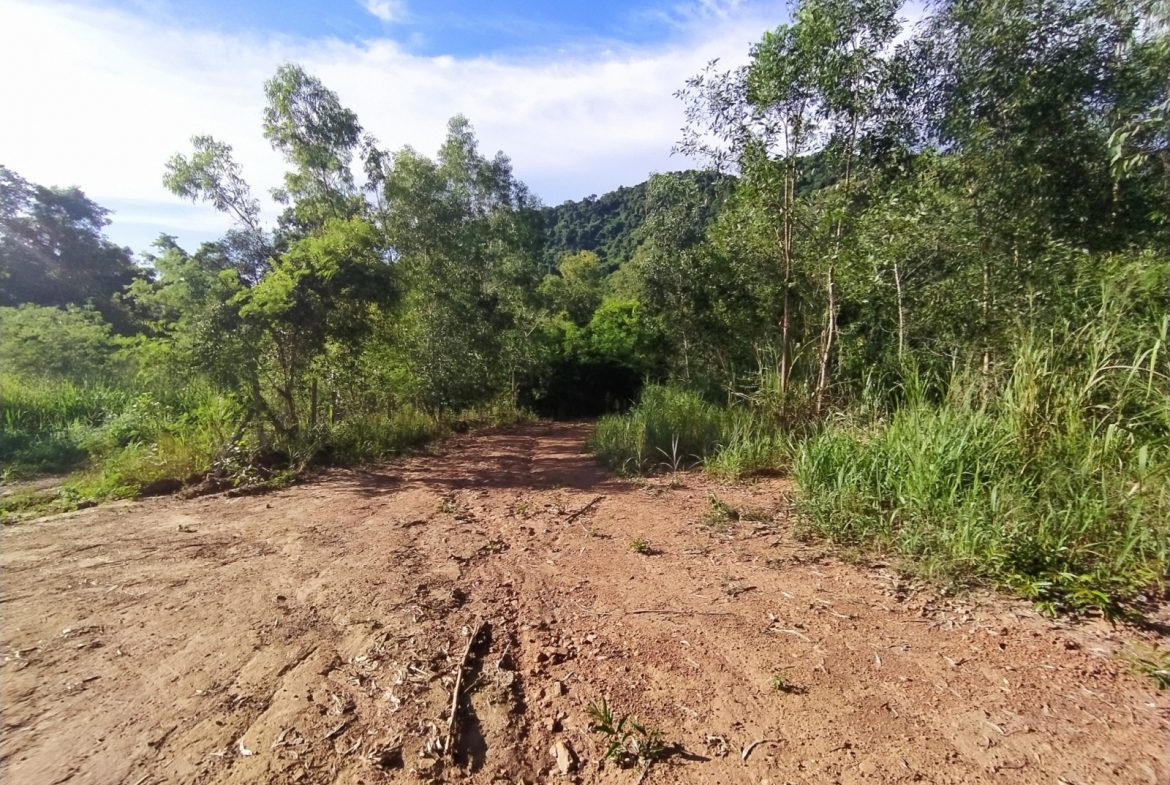 Без комплекса br sqm 1