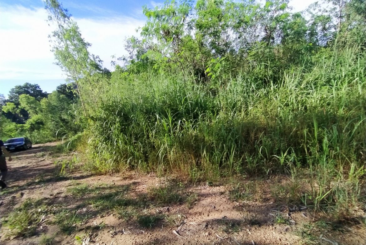 Без комплекса br sqm 2