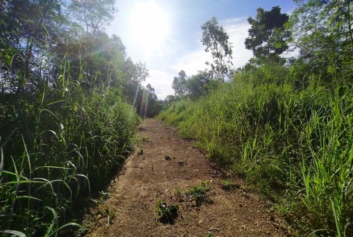 BAL23419_10 Без комплекса br sqm 11