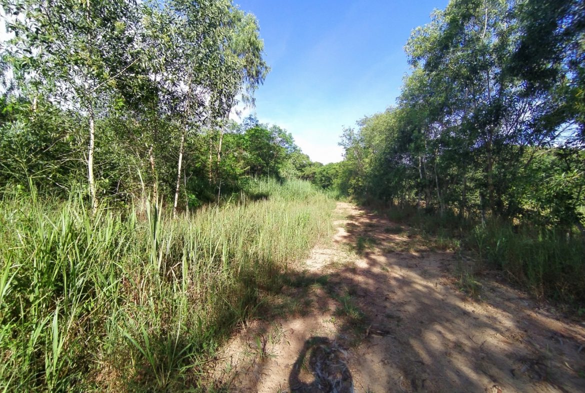 BAL23419_11 Без комплекса br sqm 12