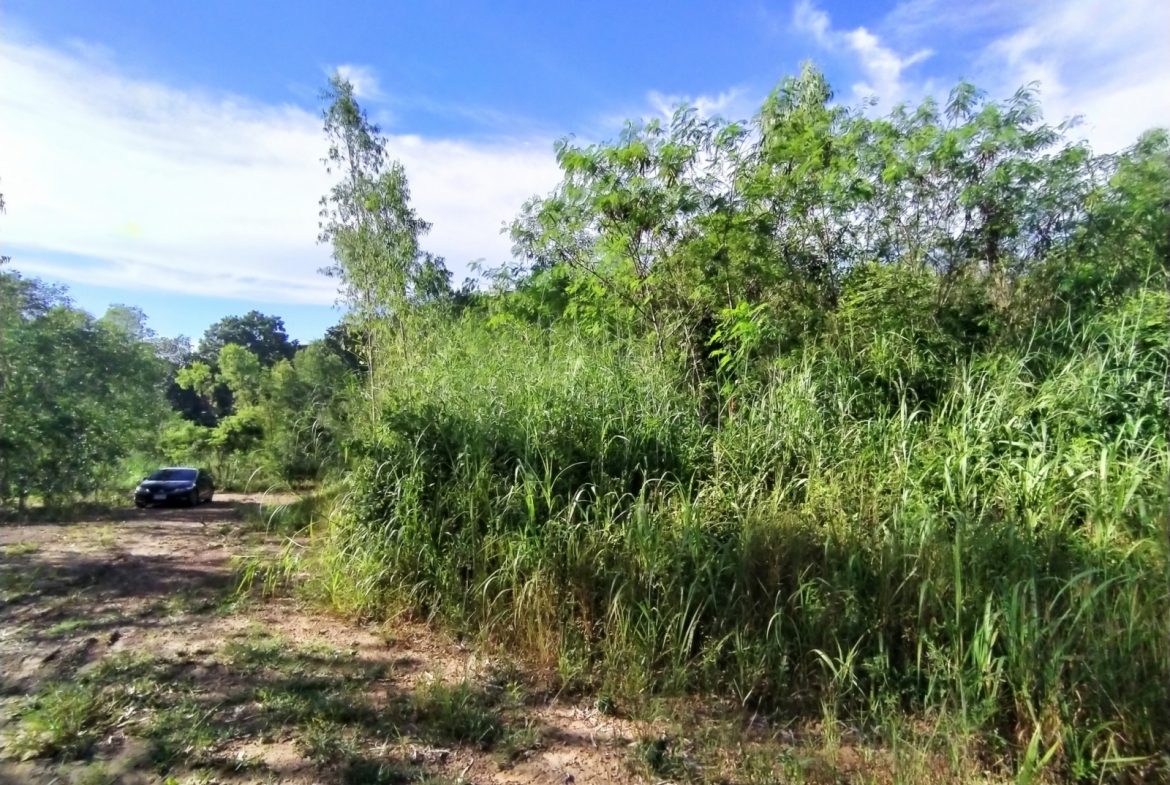 BAL23419_12 Без комплекса br sqm 13