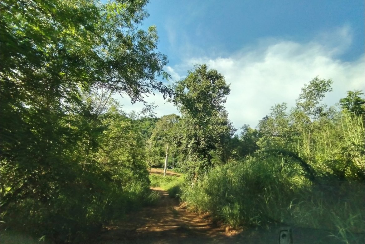 BAL23419_13 Без комплекса br sqm 14