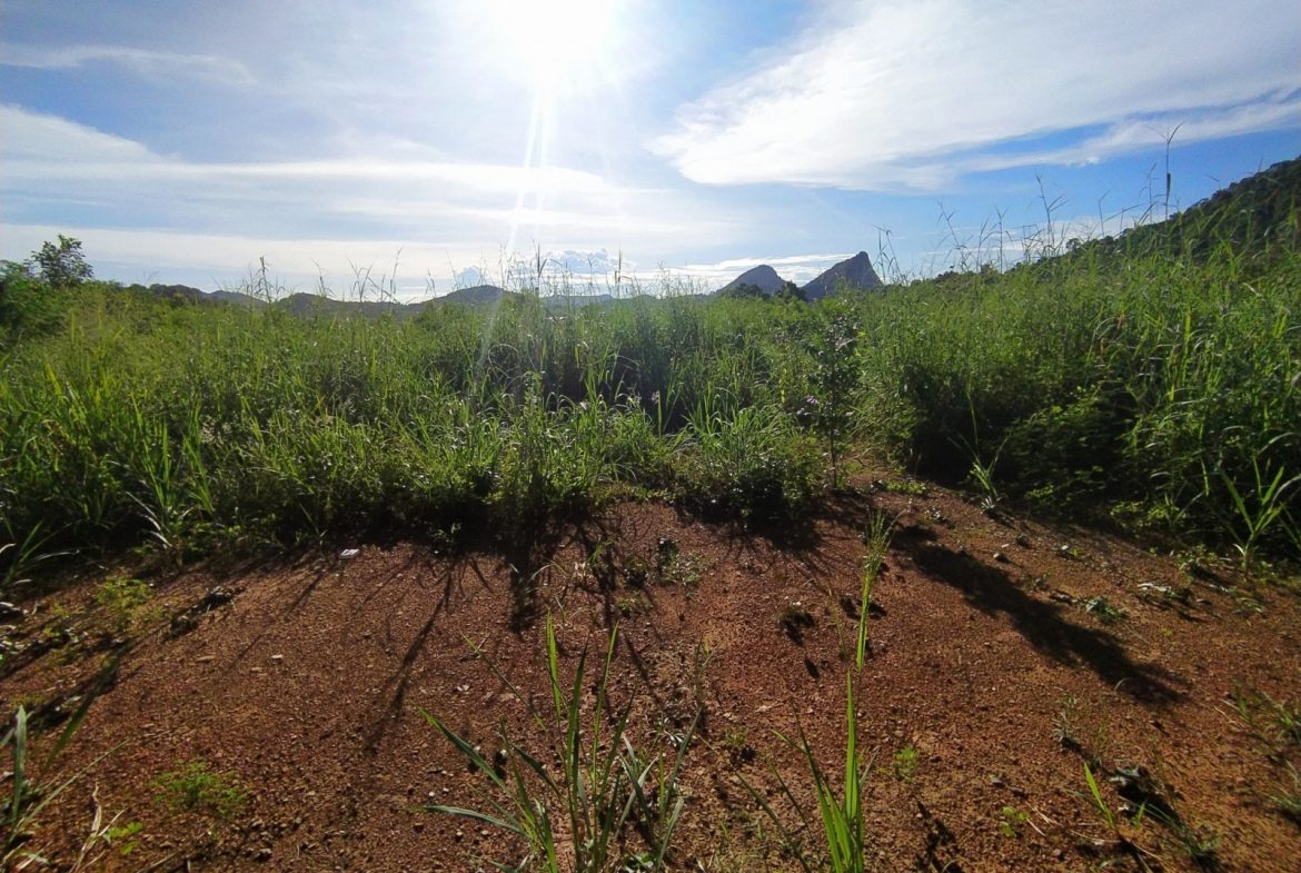 BAL23419_3 Без комплекса br sqm 4