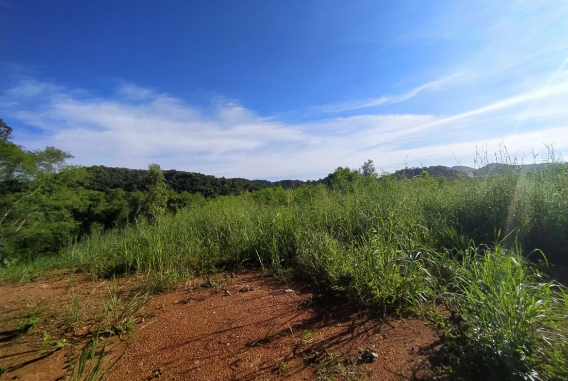 BAL23419_4 Без комплекса br sqm 5