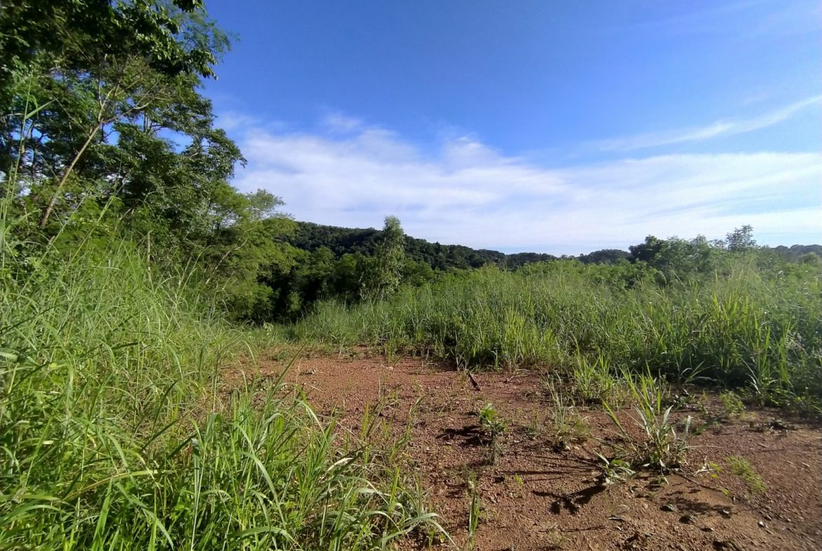 BAL23419_5 Без комплекса br sqm 6