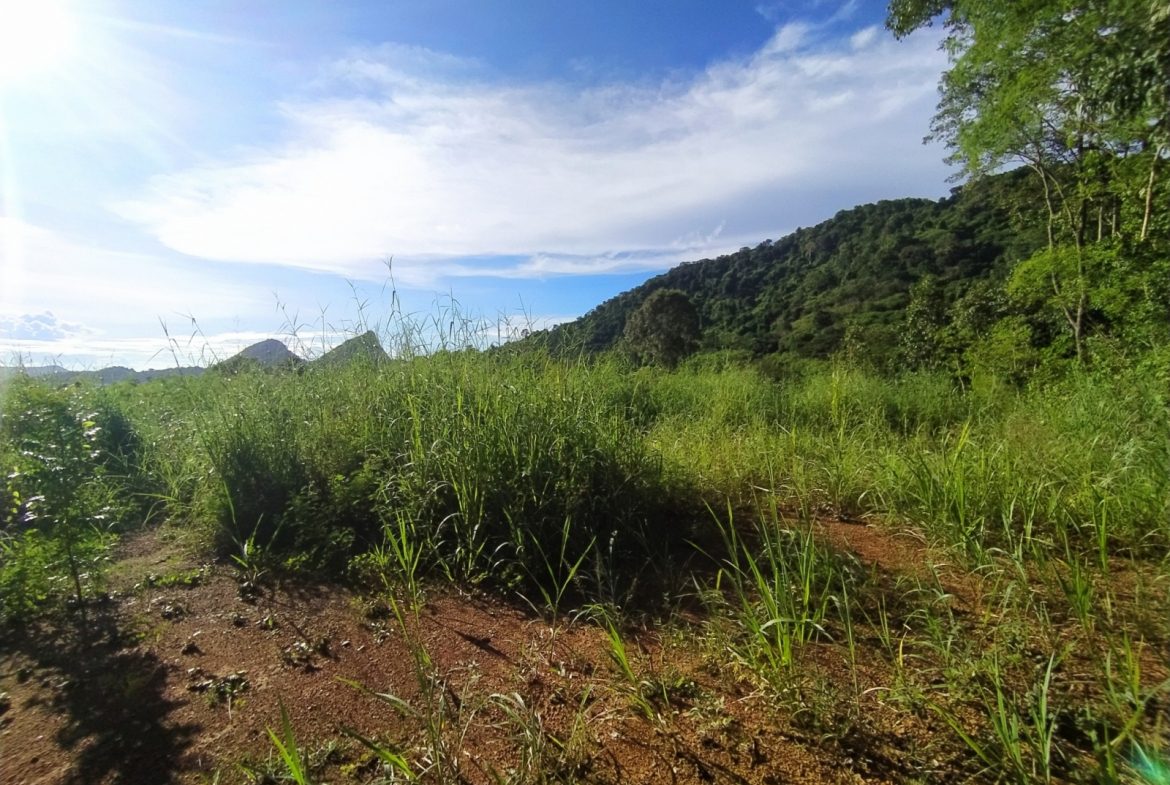 BAL23419_6 Без комплекса br sqm 7