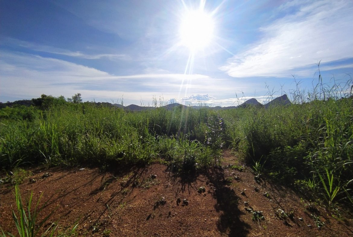 BAL23419_7 Без комплекса br sqm 8