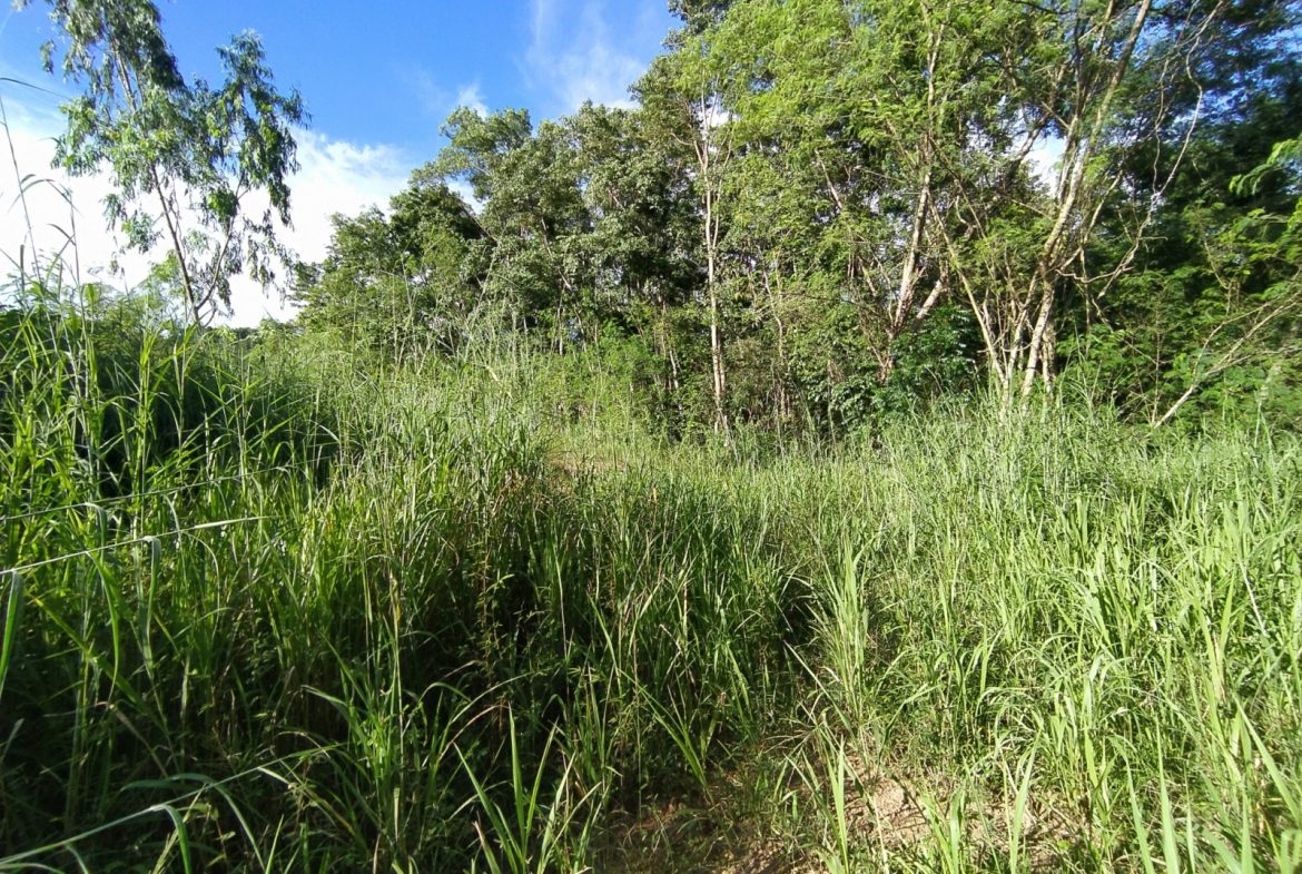 BAL23419_8 Без комплекса br sqm 9