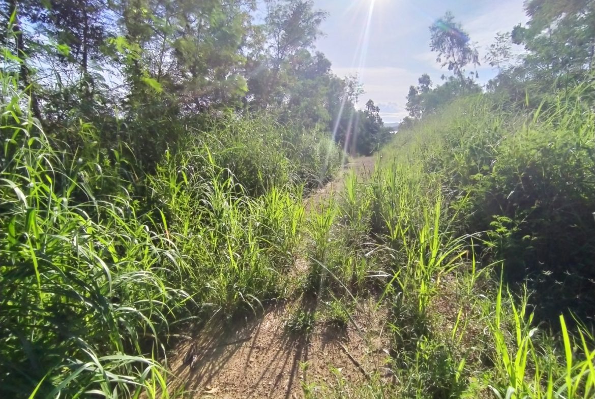 BAL23419_9 Без комплекса br sqm 10