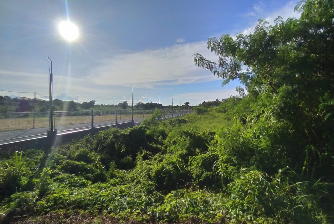 Без комплекса br sqm 1