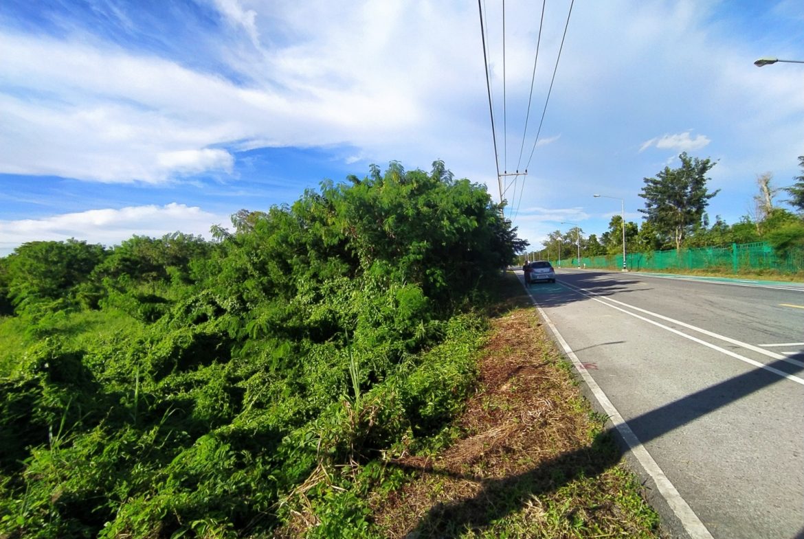 Без комплекса br sqm 2