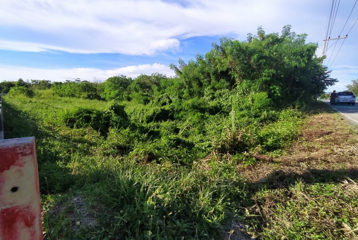 Без комплекса br sqm 3