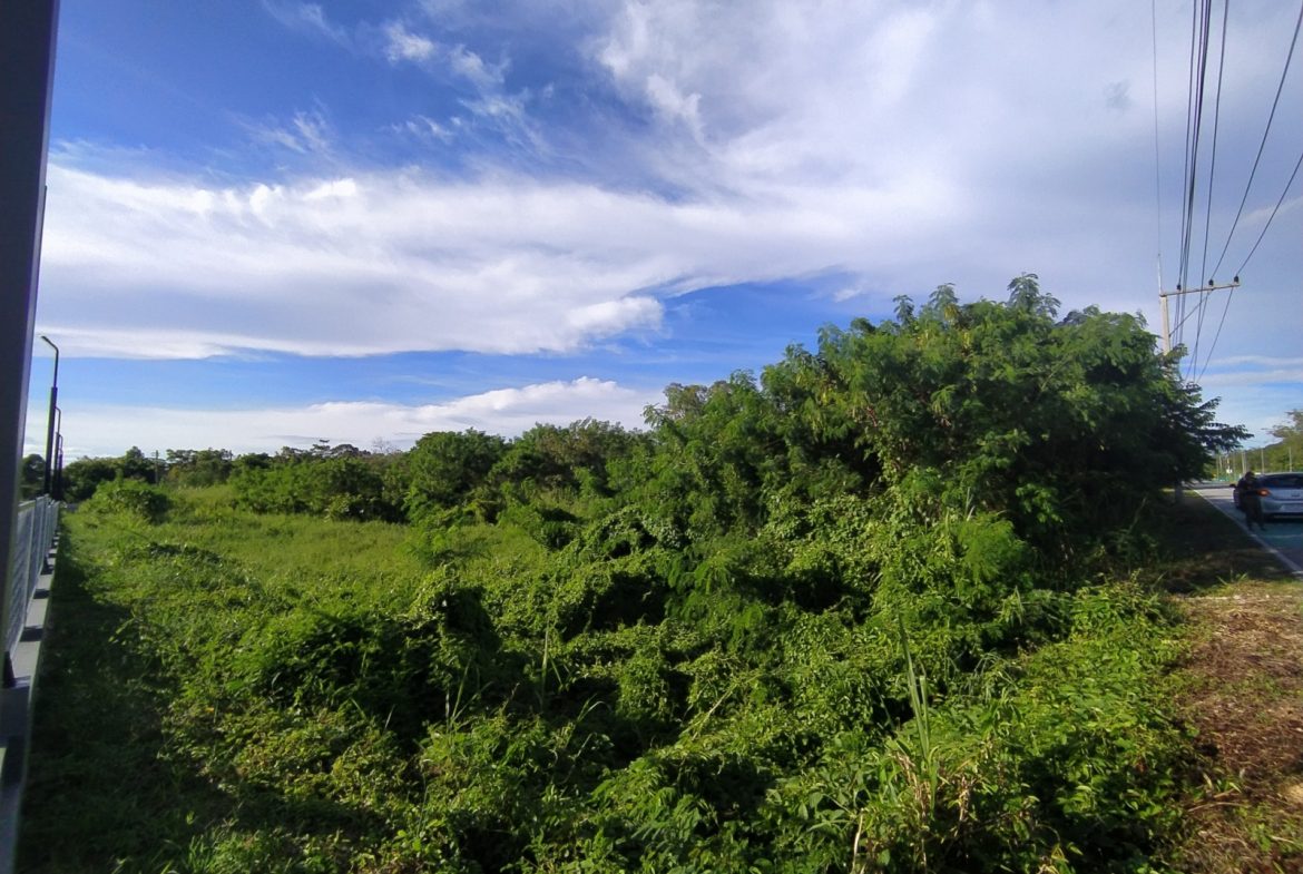 Без комплекса br sqm 4