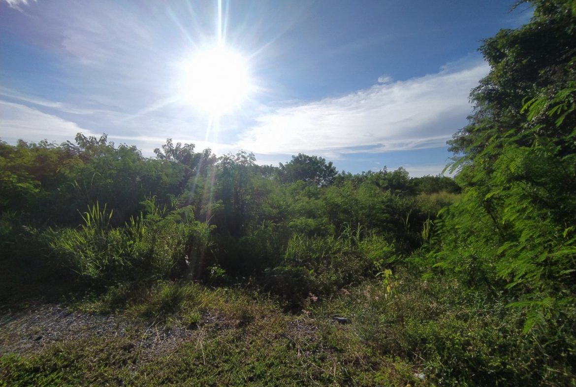 Без комплекса br sqm 5