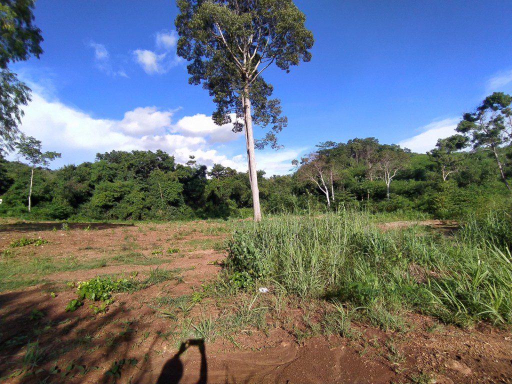 BAL23421_5 Без комплекса br sqm 6