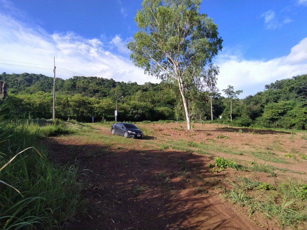 BAL23421_6 Без комплекса br sqm 7