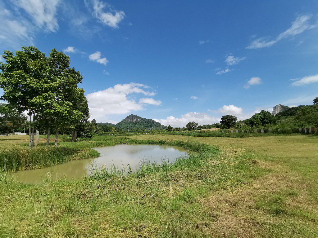 Без комплекса br sqm 4