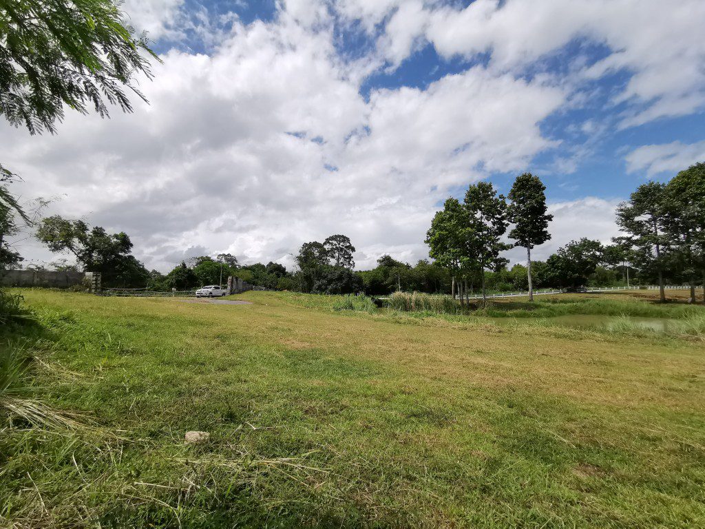 Без комплекса br sqm 6