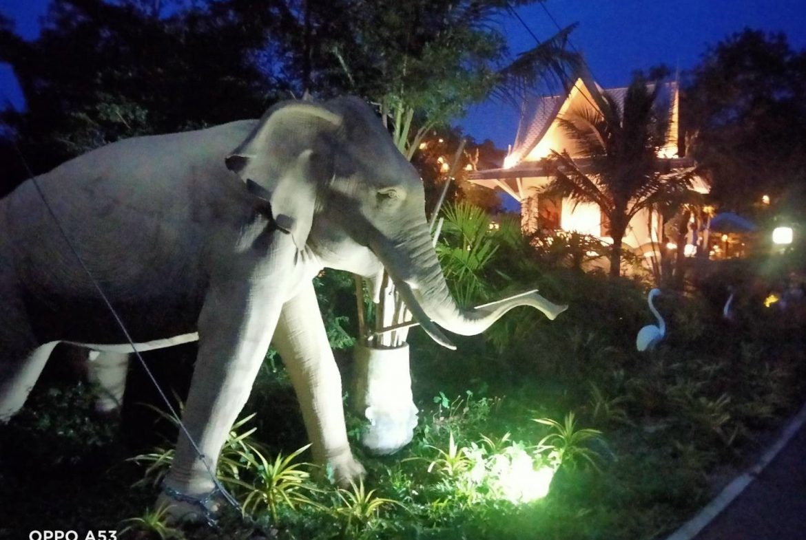 Без комплекса 9br 1200sqm 17