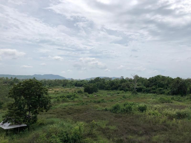 Без комплекса br sqm 1