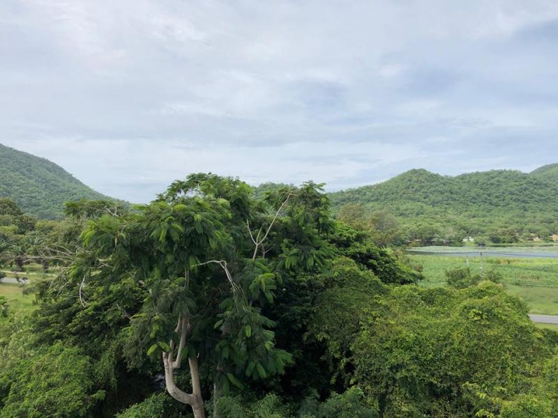 BSL22724_6 Без комплекса br sqm 7