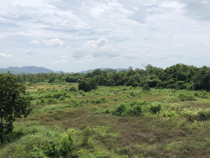 BSL22724_7 Без комплекса br sqm 8