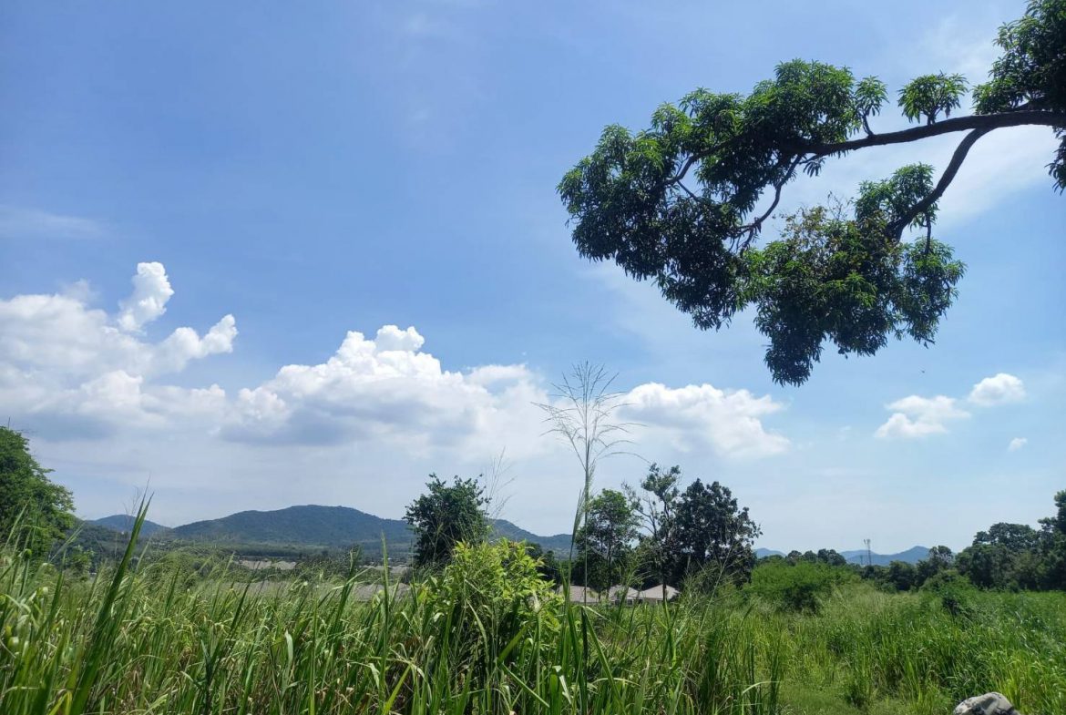 Без комплекса br sqm 1