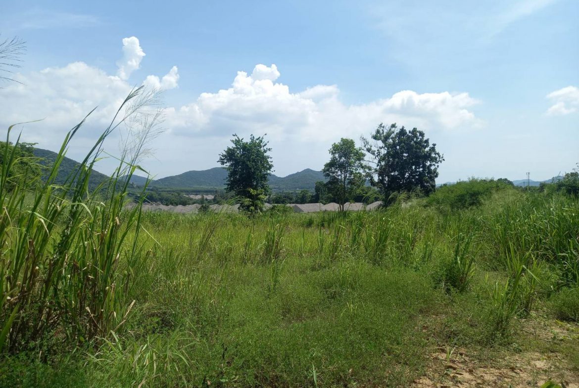 Без комплекса br sqm 2