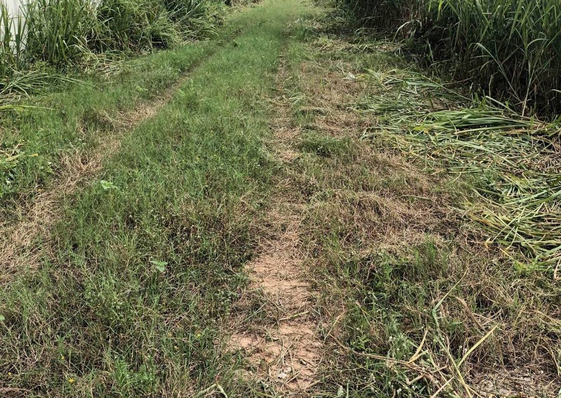 Без комплекса br sqm 3