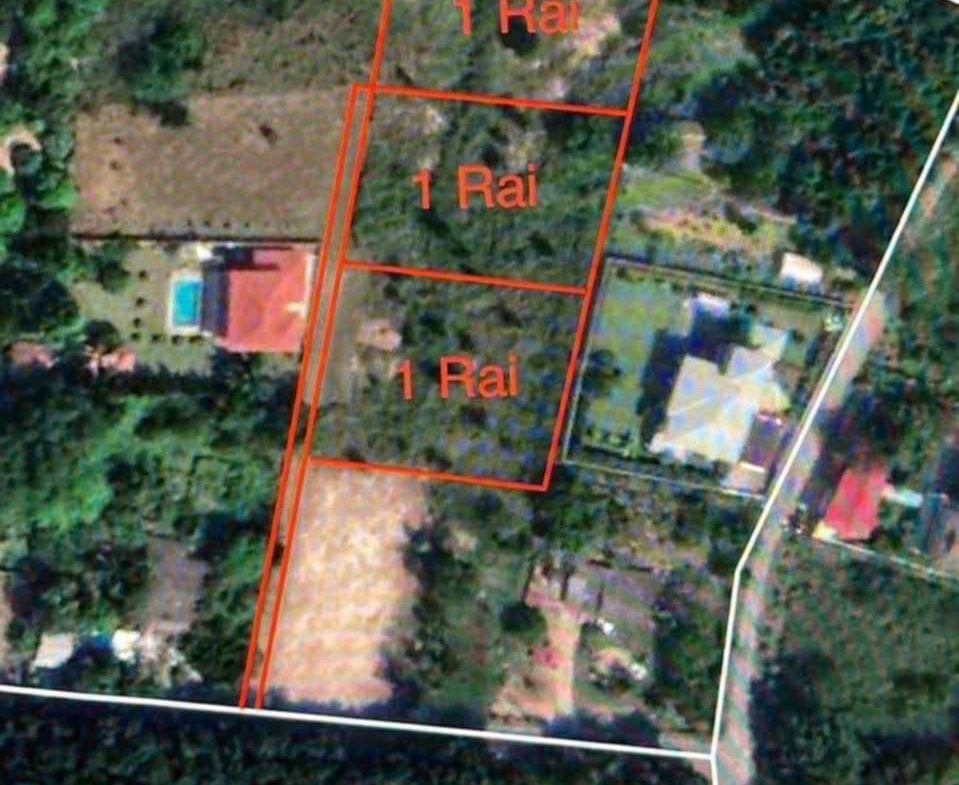 BSL25914_5 Без комплекса br sqm 6