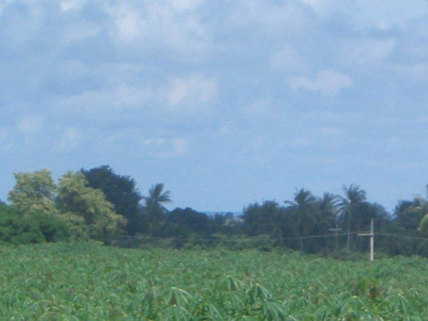 Без комплекса br sqm 3