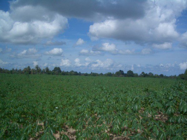 EPL16914_4 Без комплекса br sqm 5