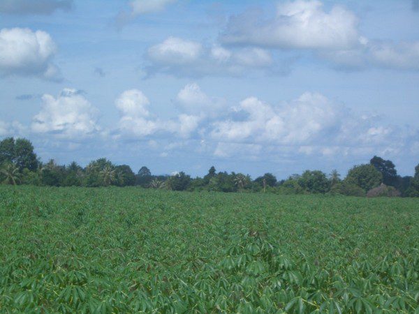 EPL16914_6 Без комплекса br sqm 7