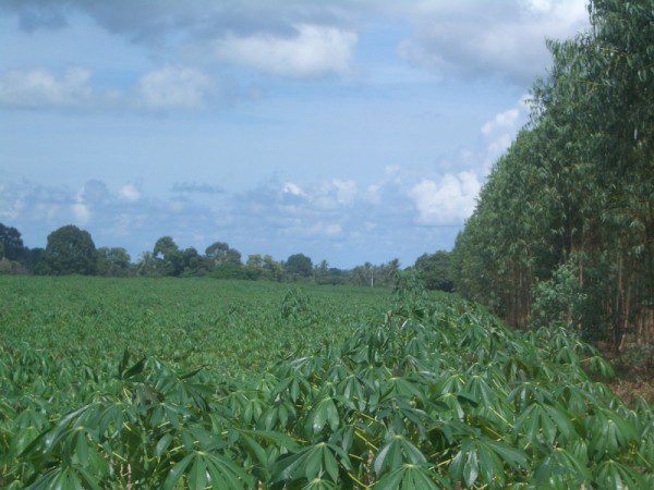 EPL16914_7 Без комплекса br sqm 8