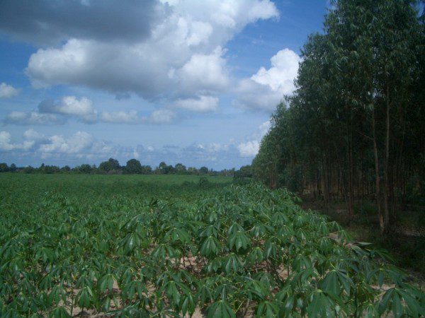 EPL16914_8 Без комплекса br sqm 9