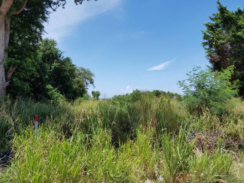 Без комплекса br sqm 7