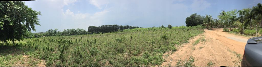 Без комплекса br sqm 3