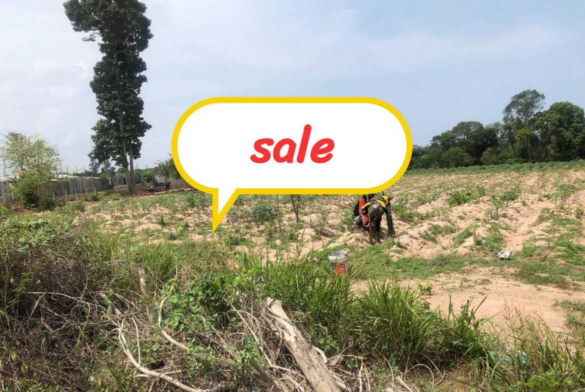 Без комплекса br sqm 1