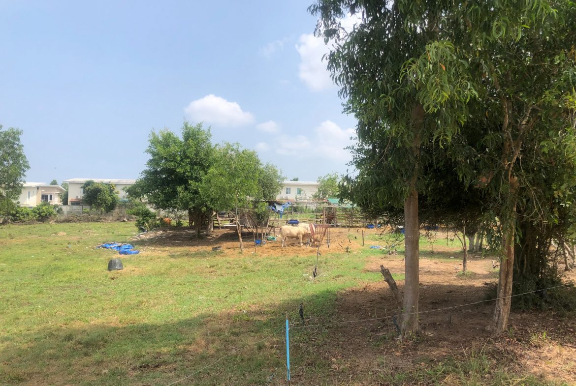 Без комплекса br sqm 4