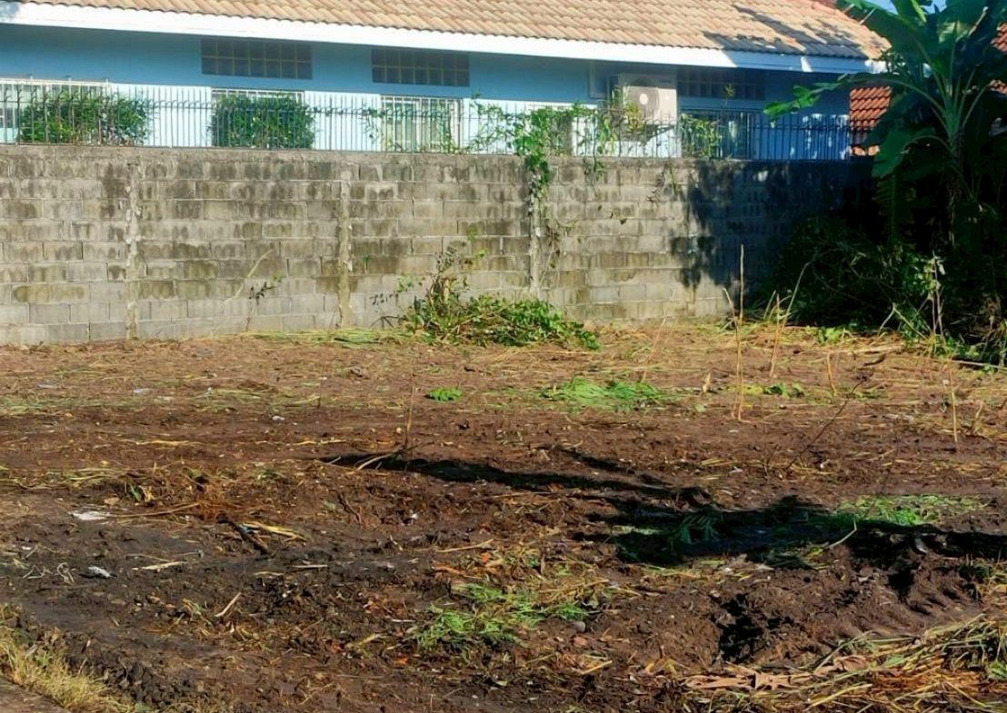 Без комплекса br sqm 1