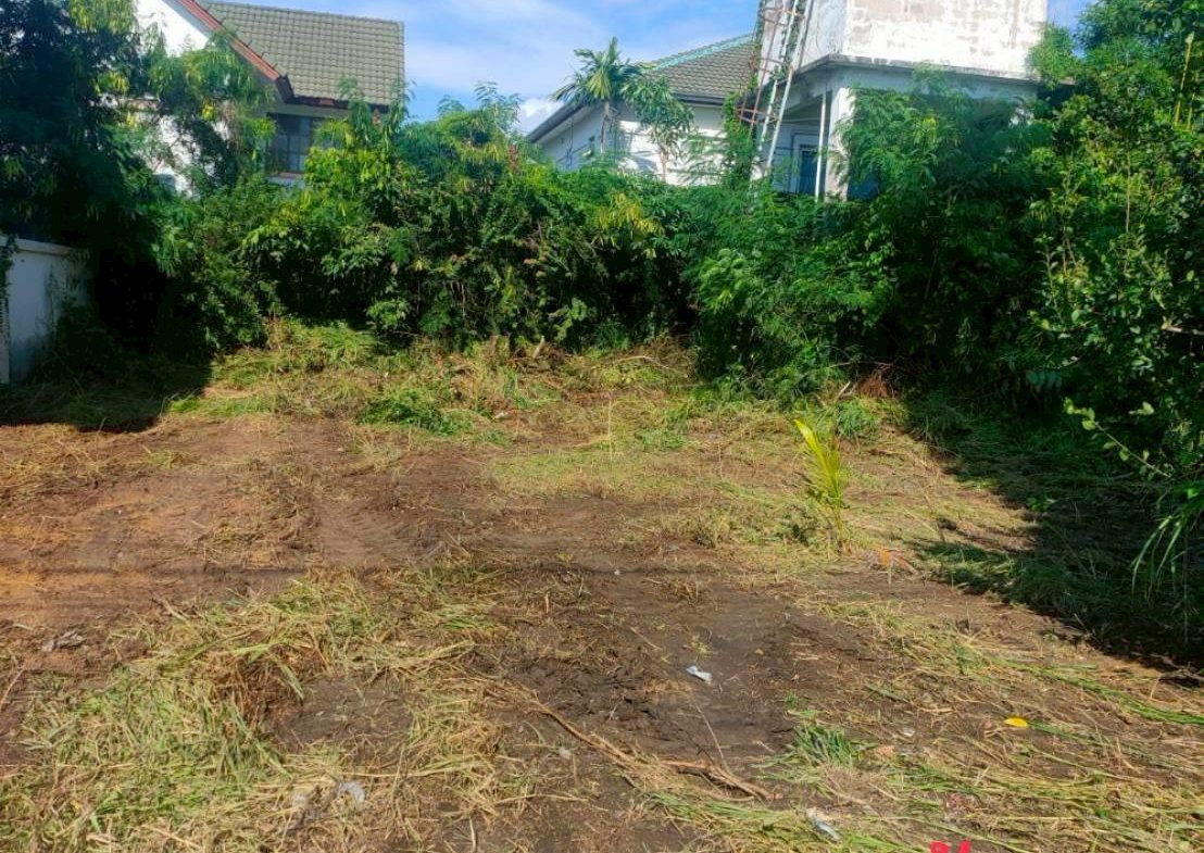 Без комплекса br sqm 1